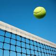 tennis-ball-net-1