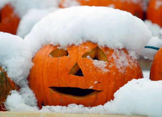 pumpkin-snow-2.jpg