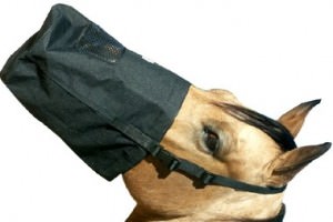 horse nosebag