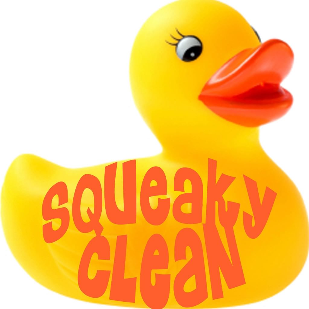 What Is Squeaky Clean