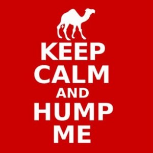 camel hump day 6