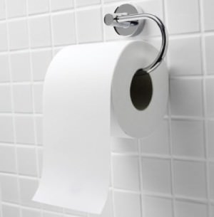 toilet paper 2