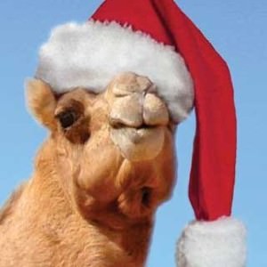 camel santa hat 2