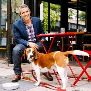 andy cohen dog