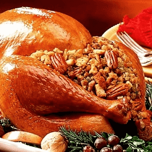 thanksgiving turkey 3