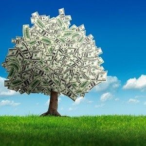 money tree 5