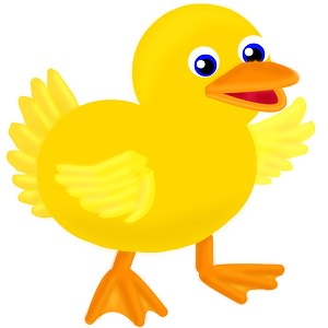 duck 4