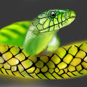 snake-1